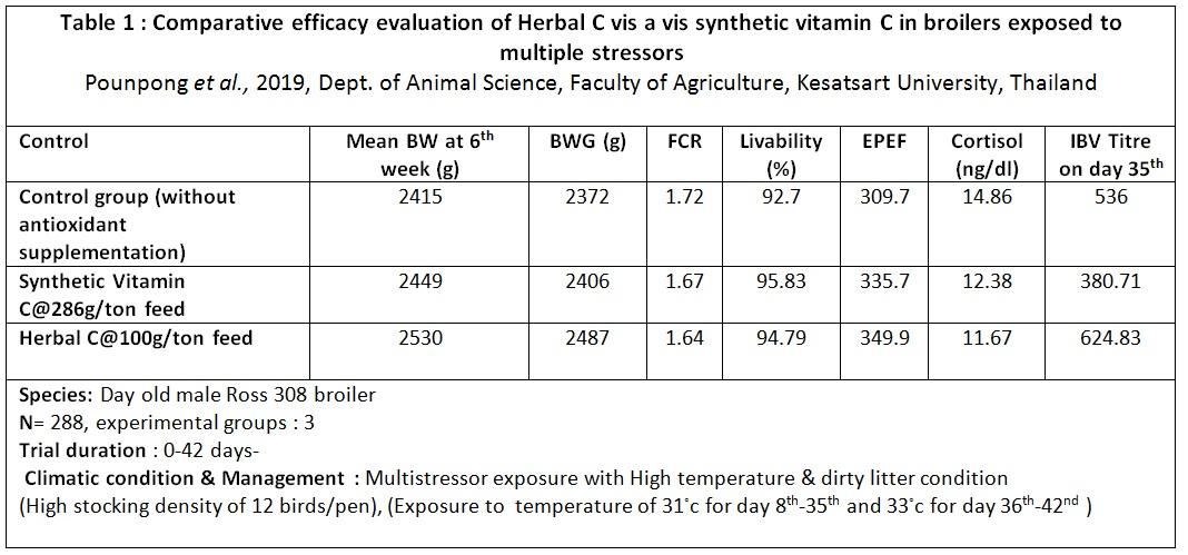 Reducing stress susceptibility in poultry with natural heat stable antioxidant and adaptogen ‘Herbal C*’ - Image 1