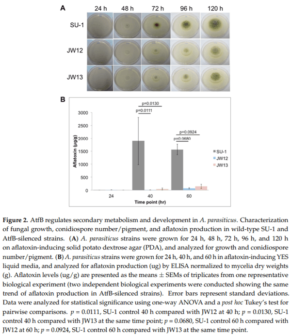 The Fungal bZIP Transcription Factor AtfB Controls Virulence-Associated Processes in Aspergillus parasiticus - Image 2