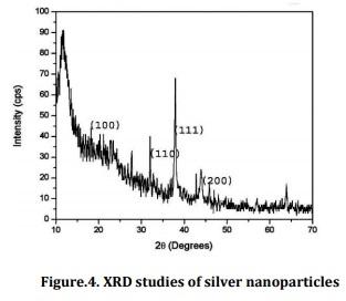 Biological synthesis of silver nanoparticles from marine alga Colpomenia sinuosa and its in vitro anti-diabetic activity - Image 3