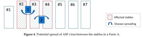 African Swine Fever in Two Large Commercial Pig Farms in LATVIA—Estimation of the High Risk Period and Virus Spread within the Farm - Image 7