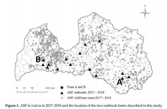 African Swine Fever in Two Large Commercial Pig Farms in LATVIA—Estimation of the High Risk Period and Virus Spread within the Farm - Image 2