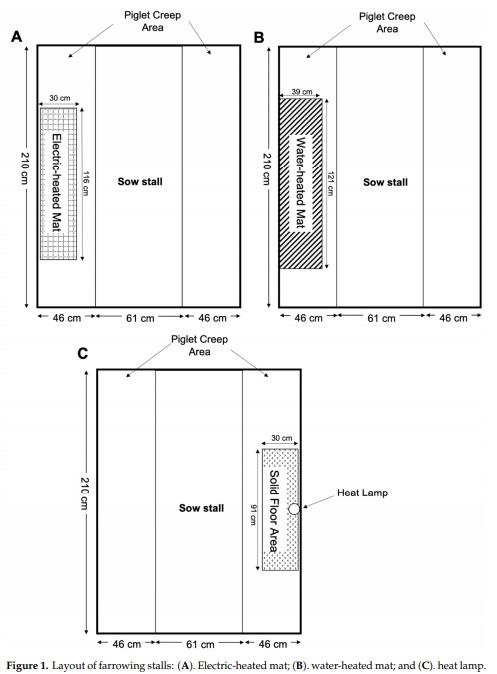 Behavior and Performance of Suckling Piglets Provided Three Supplemental Heat Sources - Image 1