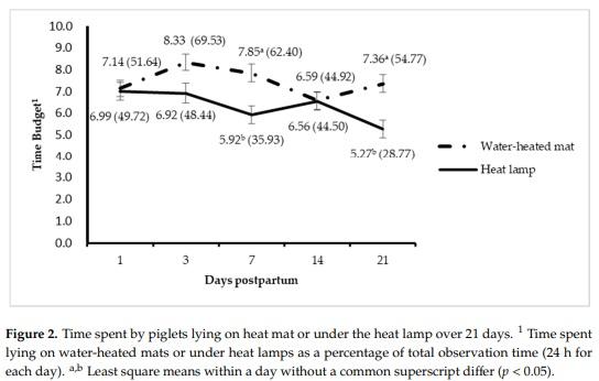 Behavior and Performance of Suckling Piglets Provided Three Supplemental Heat Sources - Image 4