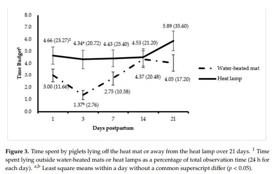 Behavior and Performance of Suckling Piglets Provided Three Supplemental Heat Sources - Image 5