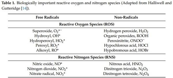 Revisiting Oxidative Stress and the Use of Organic Selenium in Dairy Cow Nutrition - Image 1