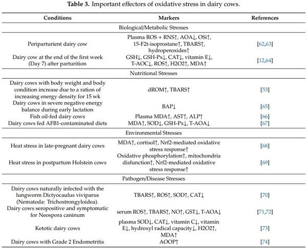 Revisiting Oxidative Stress and the Use of Organic Selenium in Dairy Cow Nutrition - Image 4