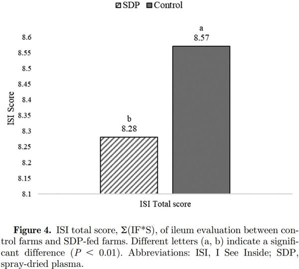 Field evaluation of feeding spray-dried plasma in the starter period on final performance and overall health of broilers - Image 1