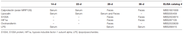 TABLE 3 | Proteins quantified in serum and/or feces of broilers at 14, 22, 28 or 36 days post-hatch by ELISA.