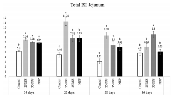 FIGURE 3 | I See Inside (ISI) total microscopically lesions scores of jejunum of broilers submitted to different intestinal challenges at 14, 22, 28 and 36 days of age. The broilers challenged with DSS received 0.25mg/ml (25DSS) or 0.35mg/ml (35DSS) of DSS via oral gavage everyday from 9 to 14-d and 23 to 27-d; birds in the NSP treatment received a diet with 30% of rice bran during the whole experiment, and animals in the control group were not submitted to any challenge. abc Different superscript letters indicate significant difference with Tukey test (P < 0.05). n = 6 animals/treatment; 2 animals/pen.