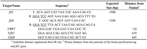 Table 1. PCR and DNA Sequencing Primers.