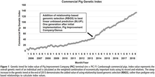 Review: innovation through research in the North American pork industry - Image 1