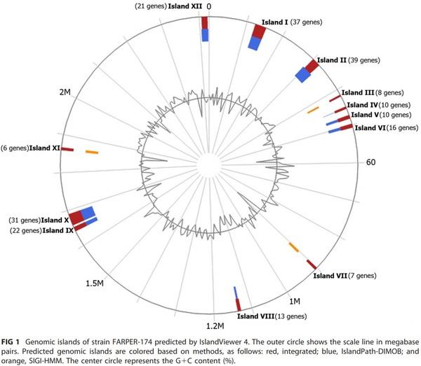 Genomic Islands in the Full-Genome Sequence of an NAD-Hemin-Independent Avibacterium paragallinarum Strain Isolated from Peru - Image 1