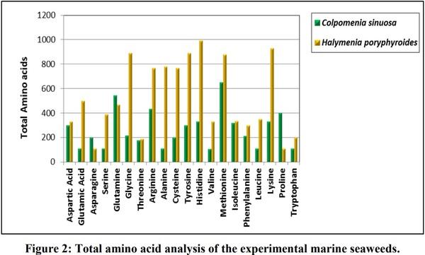 Phytochemical, Amino Acid, Fatty Acid and Vitamin Investigation of Marine Seaweeds Colpomenia Sinuosa and Halymenia Porphyroides Collected along Southeast Coast of Tamilnadu, India - Image 9