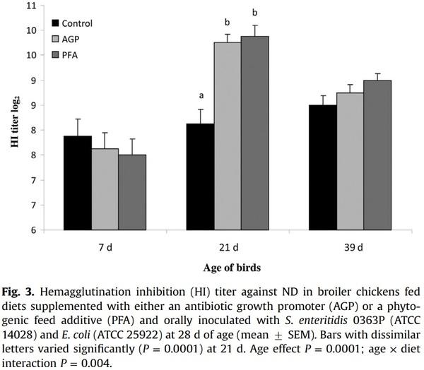 Comparative efficacy of a phytogenic feed additive and an antibiotic growth promoter on production performance, caecal microbial population and humoral immune response of broiler chickens inoculated with enteric pathogens - Image 7