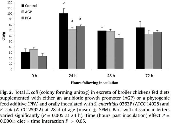 Comparative efficacy of a phytogenic feed additive and an antibiotic growth promoter on production performance, caecal microbial population and humoral immune response of broiler chickens inoculated with enteric pathogens - Image 5