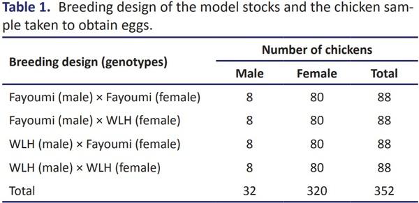 Evaluation of different traits from day-old to age at first eggs of Fayoumi and White leghorn chickens and their reciprocal crossbreeds - Image 1