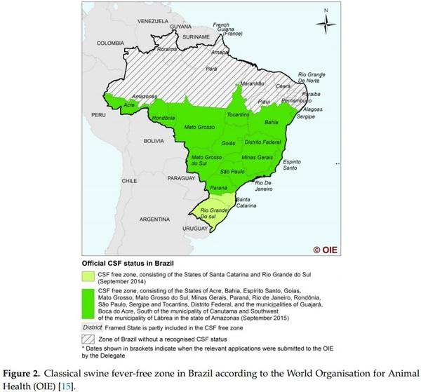 Achievements and Challenges of Classical Swine Fever Eradication in Brazil - Image 3