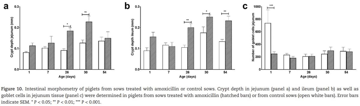 The effect of maternal antibiotic use in sows on intestinal development in offspring - Image 19