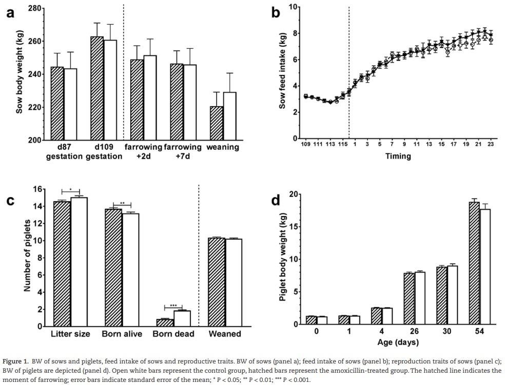 The effect of maternal antibiotic use in sows on intestinal development in offspring - Image 3