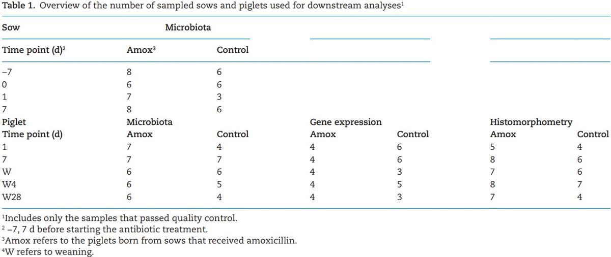 The effect of maternal antibiotic use in sows on intestinal development in offspring - Image 1