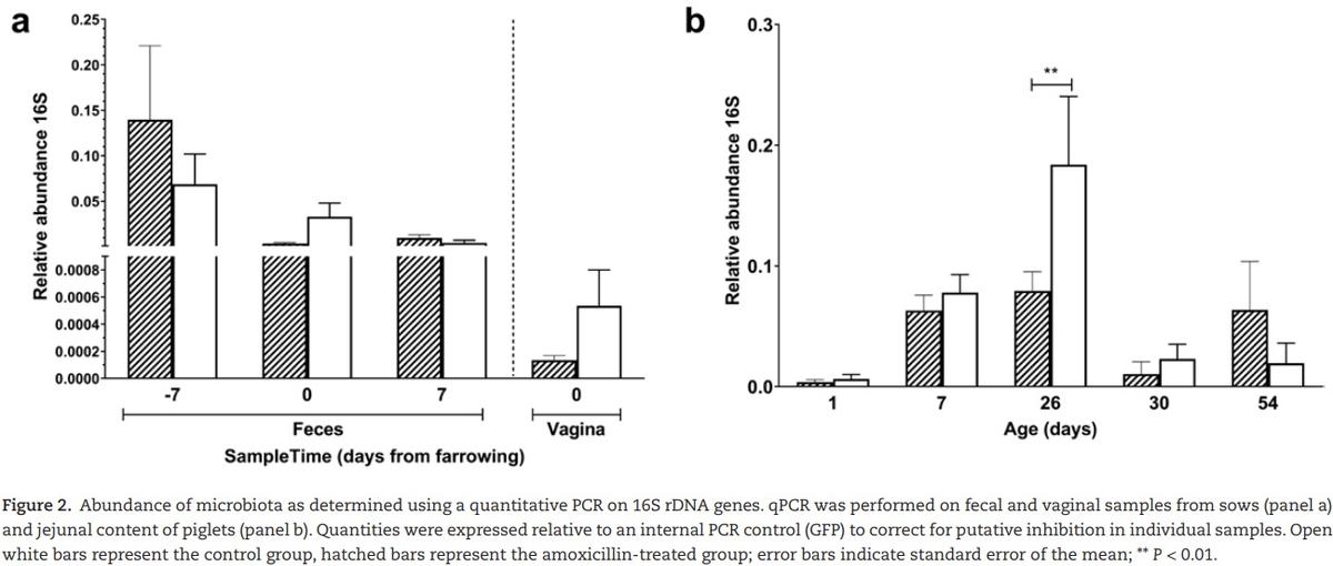 The effect of maternal antibiotic use in sows on intestinal development in offspring - Image 5