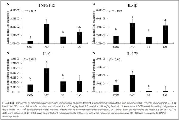 Effects of Dietary Maltol on Innate Immunity, Gut Health, and Growth Performance of Broiler Chickens Challenged With Eimeria maxima - Image 11