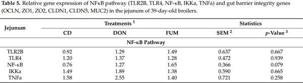 Effects of Deoxynivalenol and Fumonisins on Broiler Gut Cytoprotective Capacity - Image 3