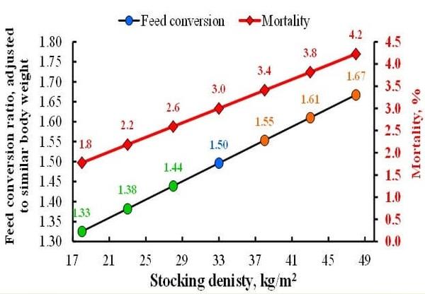 Stocking Density and Farm Profitability in Broiler Chickens - Image 1
