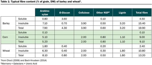 Australian barley for layers: value and opportunity - Image 2