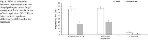 Efficacy of metabolites of a Streptomyces strain (AS1) to control growth and mycotoxin production by Penicillium verrucosum, Fusarium verticillioides and Aspergillus fumigatus in culture - Image 1