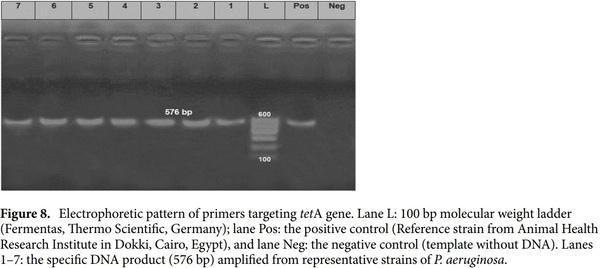 < p> Emerging MDR-Pseudomonas aeruginosa in fish commonly harbor oprL and toxA virulence genes and bla< sub> TEM< /sub> , bla< sub> CTX-M< /sub> , and tetA antibiotic-resistance genes< /p> - Image 13