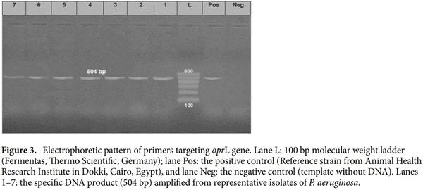 < p> Emerging MDR-Pseudomonas aeruginosa in fish commonly harbor oprL and toxA virulence genes and bla< sub> TEM< /sub> , bla< sub> CTX-M< /sub> , and tetA antibiotic-resistance genes< /p> - Image 7