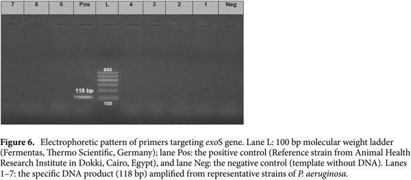 < p> Emerging MDR-Pseudomonas aeruginosa in fish commonly harbor oprL and toxA virulence genes and bla< sub> TEM< /sub> , bla< sub> CTX-M< /sub> , and tetA antibiotic-resistance genes< /p> - Image 11
