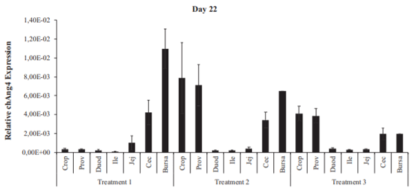 Figure 5. Relative expression of chAng4 in the gastrointestinal tract of broiler chickens supplemented with a combination of probiotics and organic acids, on day 22. T15birds that did not receive the blend of probiotics and organic acids;T25birds that received the blend of probiotics and organic acids for 7D; andT35birds that received the blend of probiotics and organic acids for 14D. chAng4 gene expressionwas normalized to that of the housekeeping gene. Bars represent means ± SEM (n = 5). Abbreviations: Prov, proventriculus; Duod, duodenum; Ile, ileum; Jej, jejunum; Cec, cecum.