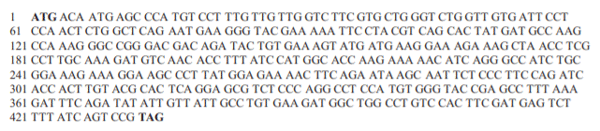 Figure 1. Full-length nucleotide sequence (50 –30 ) of chicken Angiogenin-4. Start and stop codons are shown in bold. Numbers indicate the coding-sequence length (bp). Total length of 435 bp.