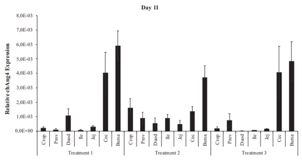 Figure 4. Relative expression of chAng4 in the gastrointestinal tract of broiler chickens supplemented with a combination of probiotics and organic acids, on day 11.T15birds that did not receive the blend of probiotics and organic acids;T25birds that received the blend of probiotics and organic acids for 7 D; andT35birds that received the blend of probiotics and organic acids for 14D. chAng4 gene expressionwas normalized to that of the housekeeping gene. Bars represent means 6 SEM (n 5 15). Abbreviations: Prov, proventriculus; Duod, duodenum; Ile, ileum; Jej, jejunum; Cec, cecum.