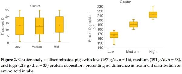 Estimating Amino Acid Requirements in Real-Time for Precision-Fed Pigs: The Challenge of Variability among Individuals - Image 4
