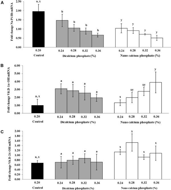 Effects of available phosphorus source and concentration on performance and expression of sodium phosphate type IIb cotransporter, vitamin D-1α-hydroxylase, and vitamin D-24-hydroxylase mRNA in broiler chicks - Image 6