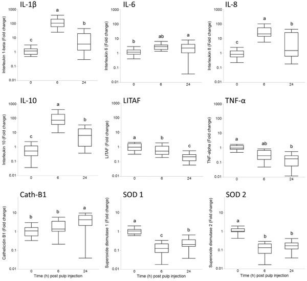 Local and systemic inflammatory responses to lipopolysaccharide in broilers: new insights using a two-window approach - Image 6