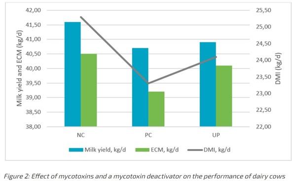 Mycotoxins in dairy cows: the role of rumen - Image 1