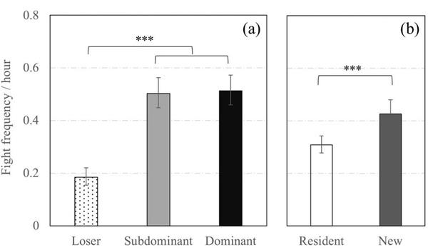 Social status and previous experience in the group as predictors of welfare of sows housed in large semi-static groups - Image 8