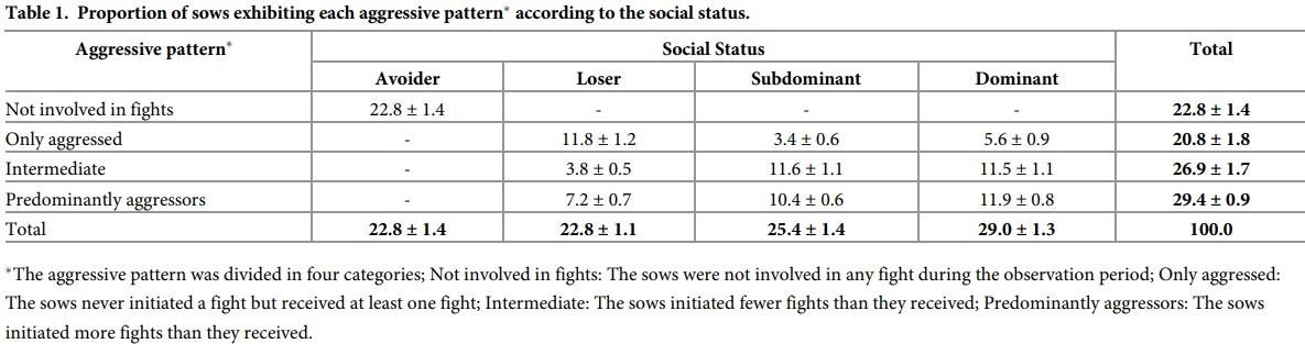 Social status and previous experience in the group as predictors of welfare of sows housed in large semi-static groups - Image 1