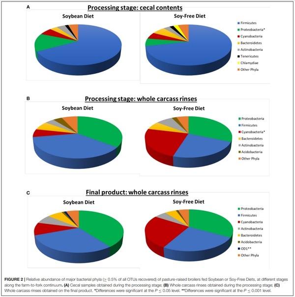The Effects of Feeding a Soybean-Based or a Soy-Free Diet on the Gut Microbiome of Pasture-Raised Chickens Throughout Their Lifecycle - Image 4