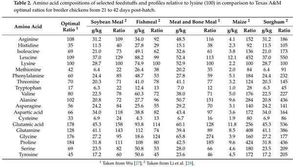 The Dynamic Conversion of Dietary Protein and Amino Acids into Chicken-Meat Protein - Image 2