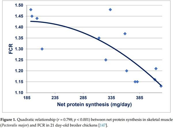 The Dynamic Conversion of Dietary Protein and Amino Acids into Chicken-Meat Protein - Image 6