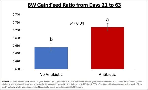 The Effects of Feeding Antibiotic on the Intestinal Microbiota of Weanling Pigs - Image 3