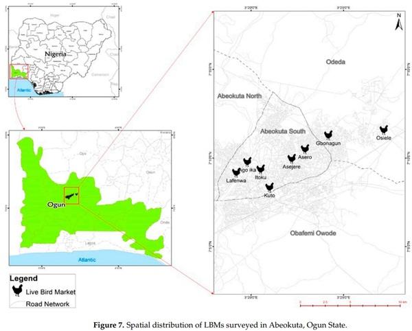 Multi-Drug Resistant Escherichia coli, Biosecurity and Anti-Microbial Use in Live Bird Markets, Abeokuta, Nigeria - Image 16