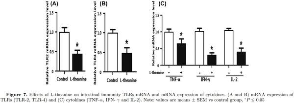 16S ribosomal RNA sequencing reveals a modulation of intestinal microbiome and immune response by dietary L-theanine supplementation in broiler chickens - Image 9