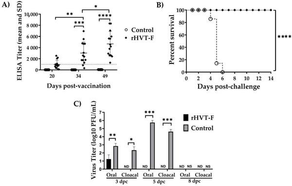 A Recombinant Turkey Herpesvirus Expressing the F Protein of Newcastle Disease Virus Genotype XII Generated by NHEJ-CRISPR/Cas9 and Cre-LoxP Systems Confers Protection against Genotype XII Challenge in Chickens - Image 6