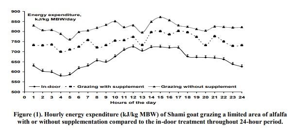 Effect of Grazing Activity and Supplementary Feeding on Energy Utilization by Goats - Image 3